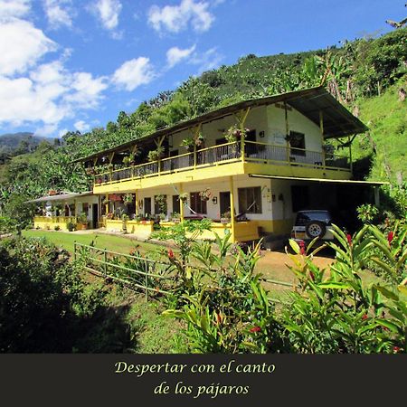 Alojamiento Rural Jardin Consentido エクステリア 写真