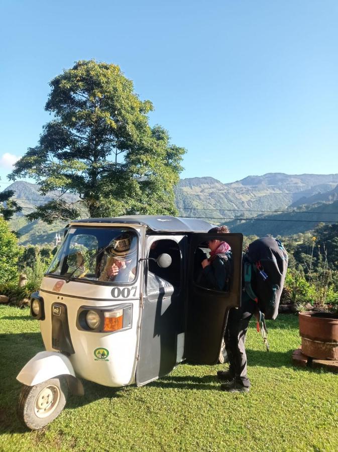 Alojamiento Rural Jardin Consentido エクステリア 写真