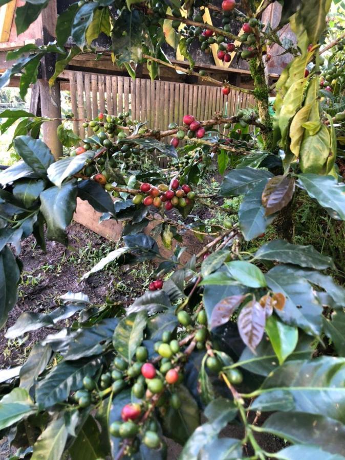 Alojamiento Rural Jardin Consentido エクステリア 写真