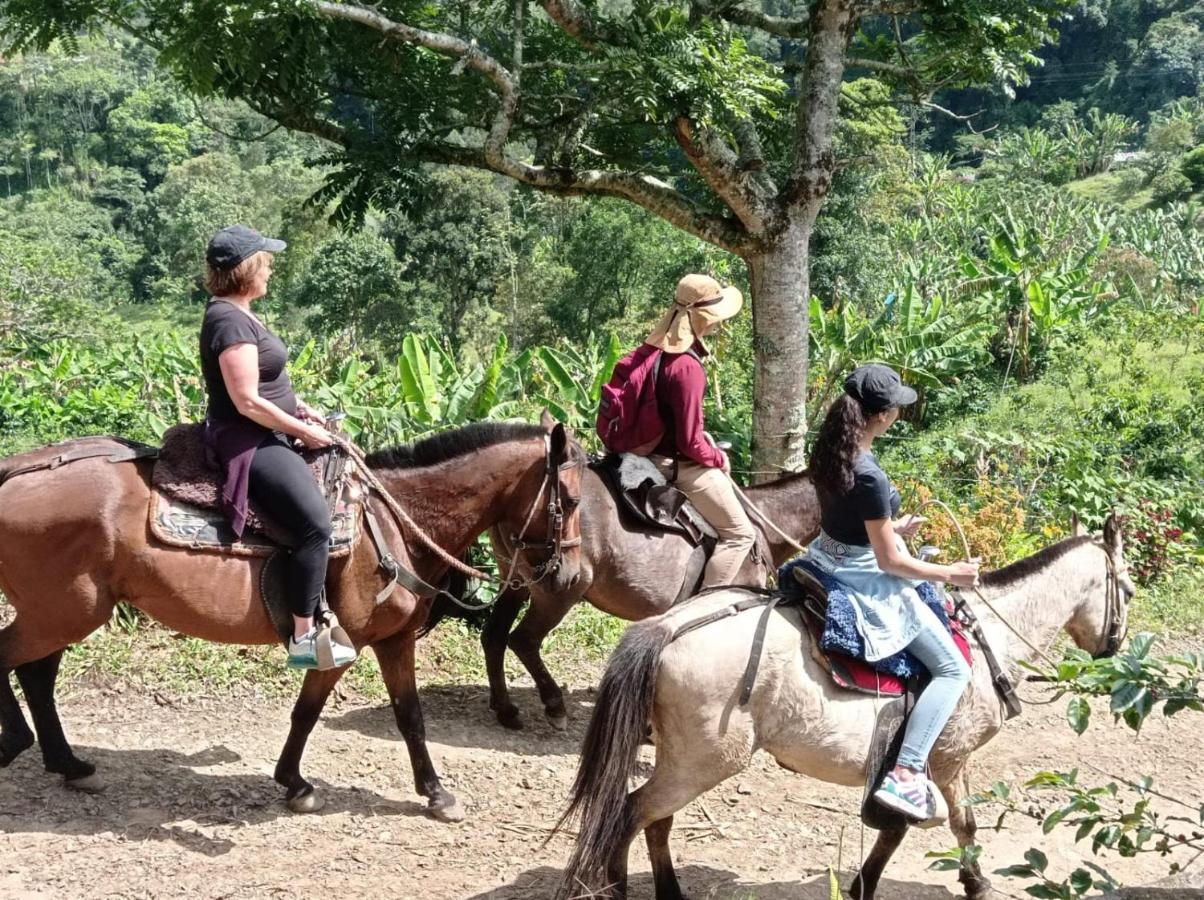 Alojamiento Rural Jardin Consentido エクステリア 写真