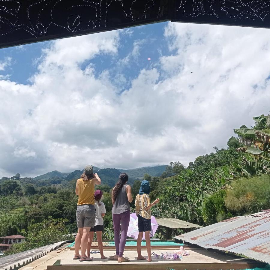 Alojamiento Rural Jardin Consentido エクステリア 写真