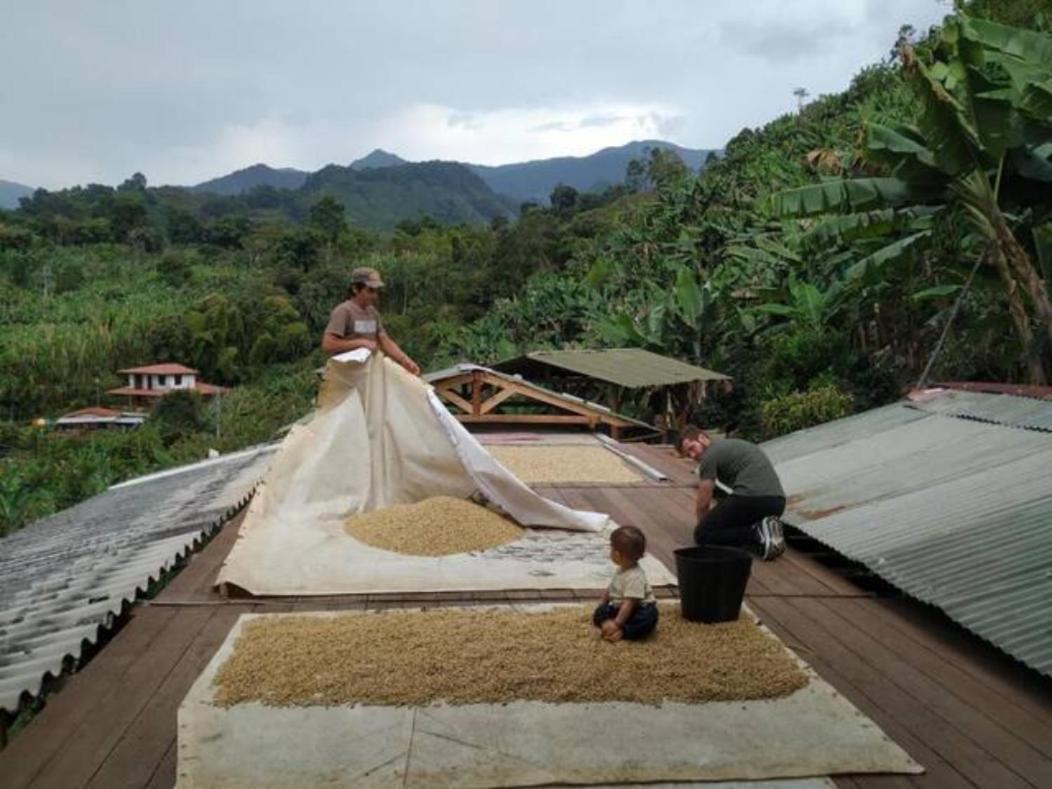 Alojamiento Rural Jardin Consentido エクステリア 写真
