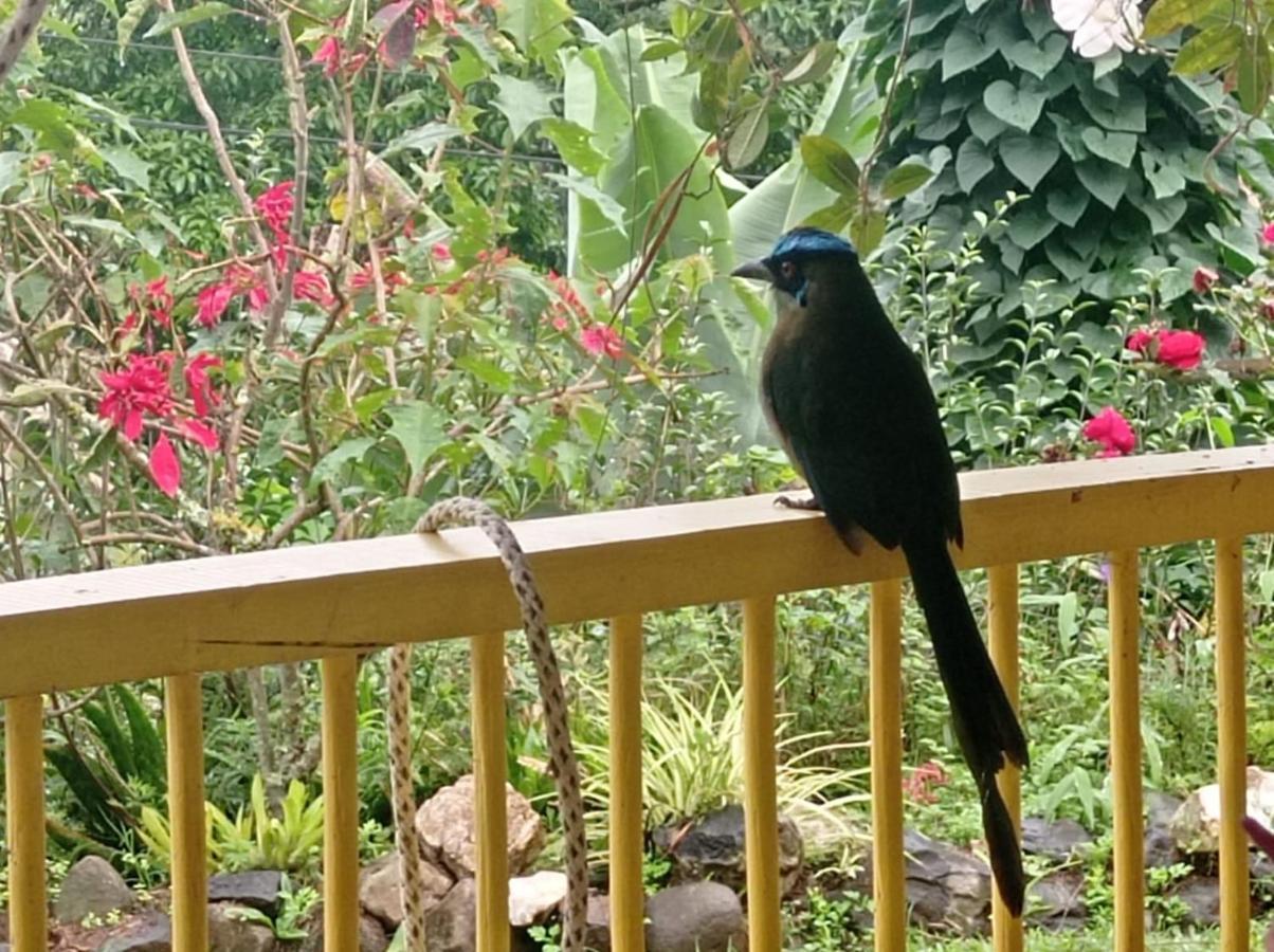 Alojamiento Rural Jardin Consentido エクステリア 写真