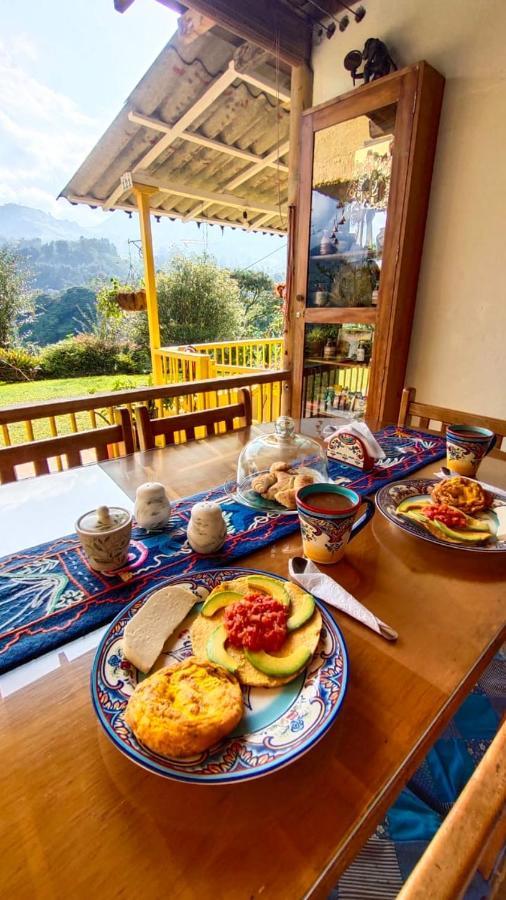 Alojamiento Rural Jardin Consentido エクステリア 写真