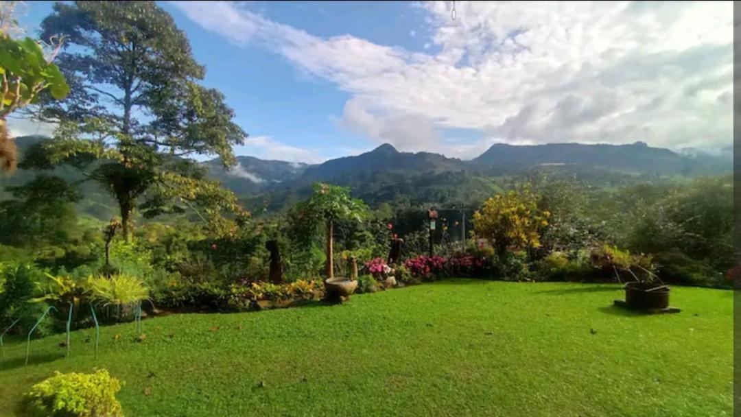 Alojamiento Rural Jardin Consentido エクステリア 写真