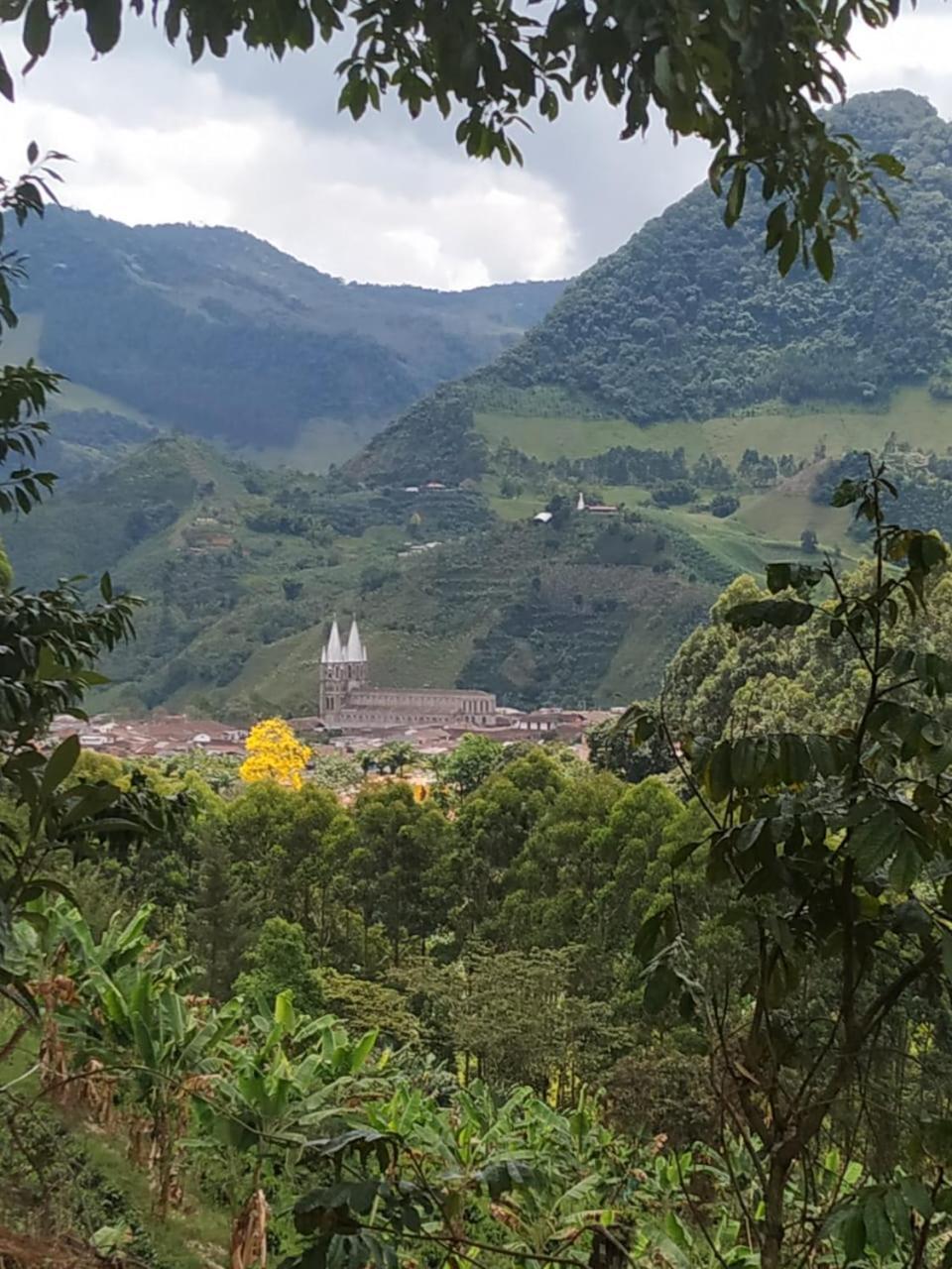 Alojamiento Rural Jardin Consentido エクステリア 写真