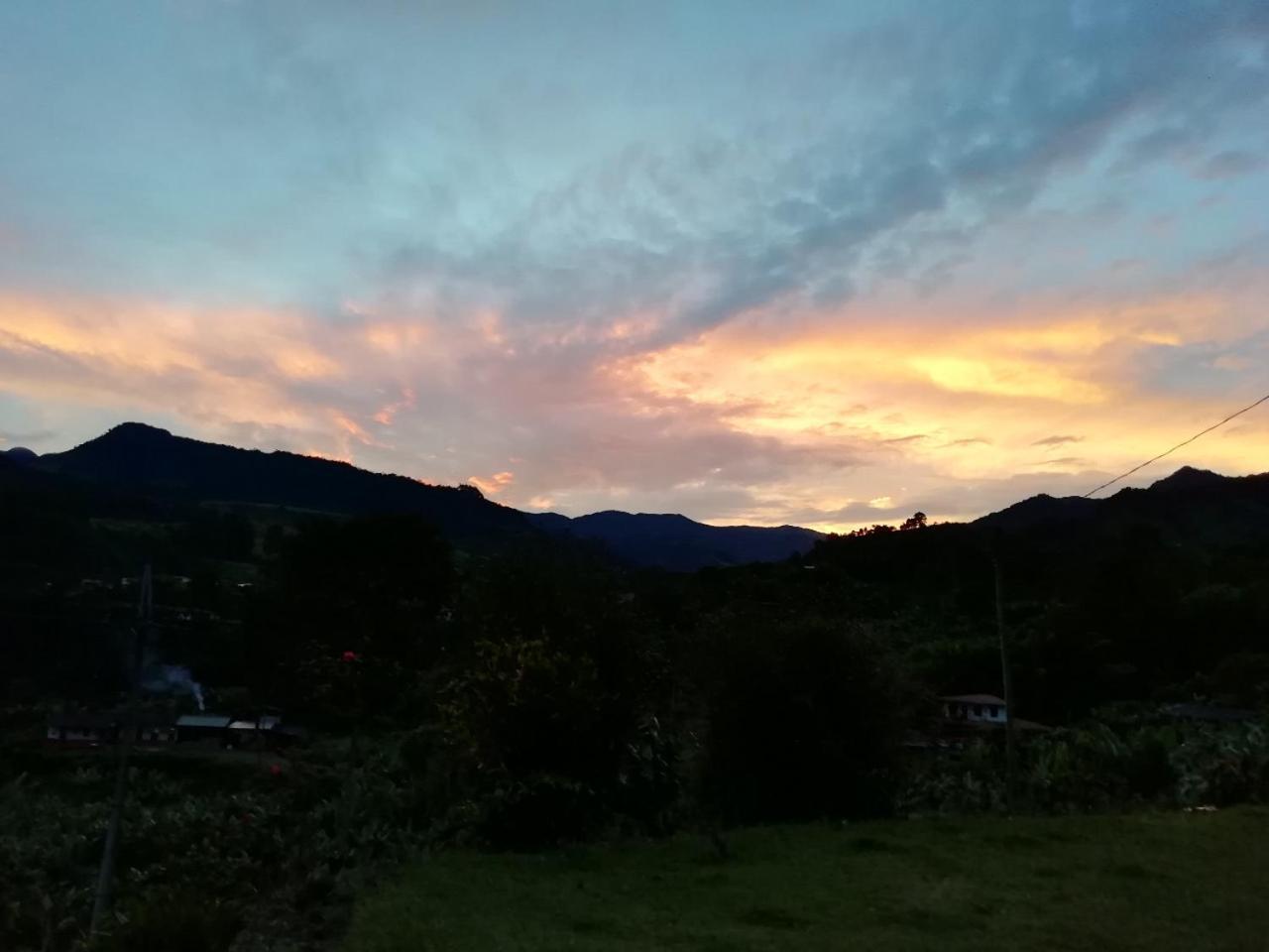 Alojamiento Rural Jardin Consentido エクステリア 写真