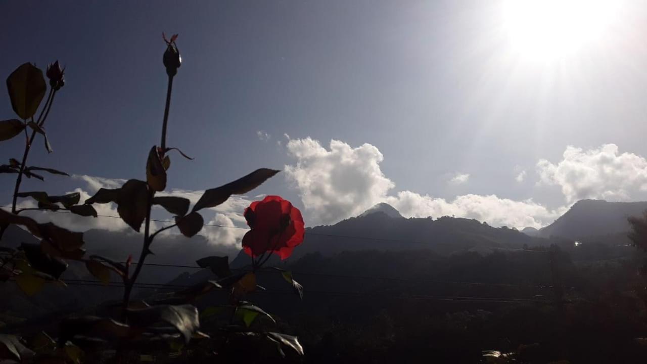 Alojamiento Rural Jardin Consentido エクステリア 写真