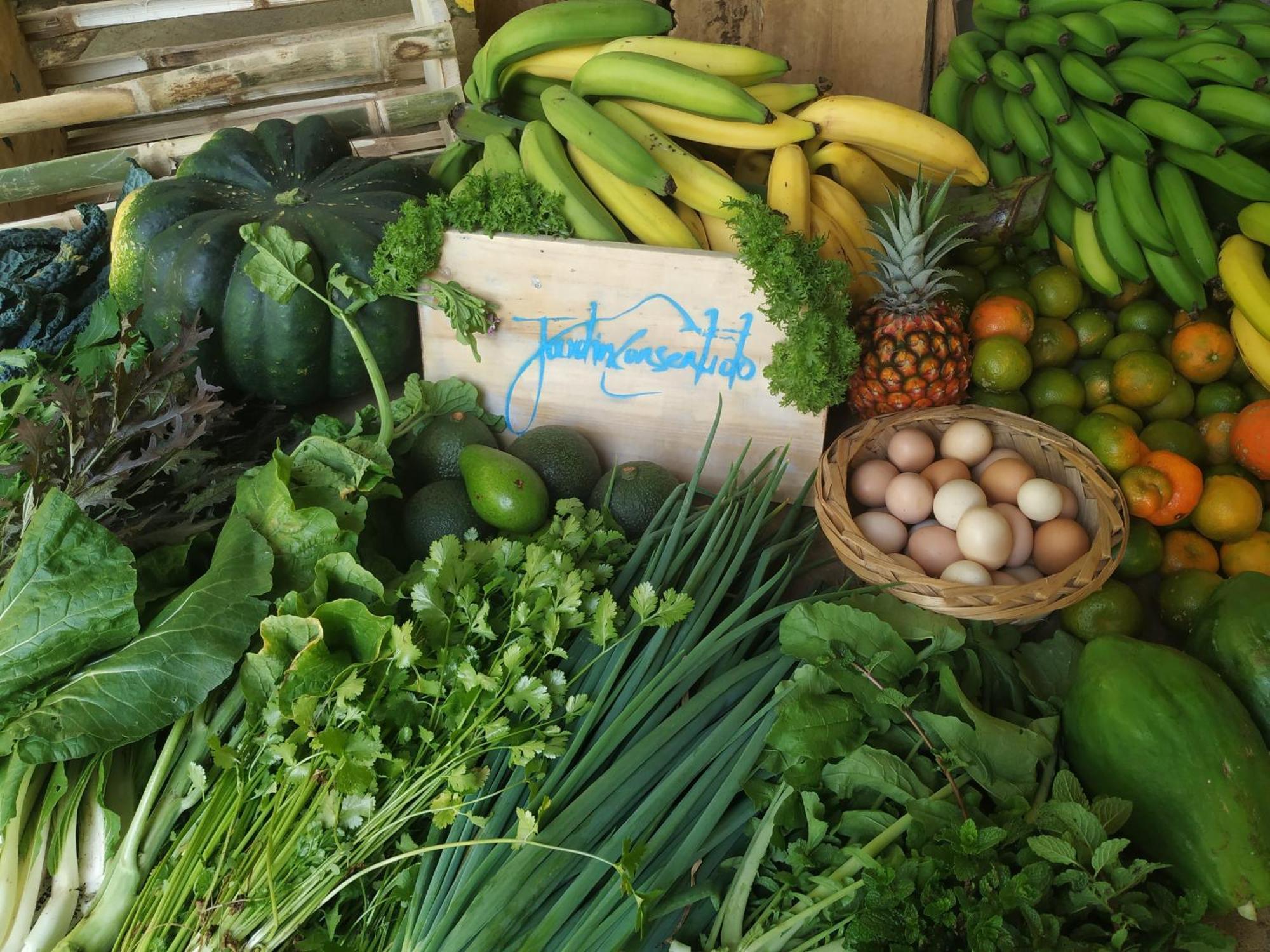 Alojamiento Rural Jardin Consentido エクステリア 写真