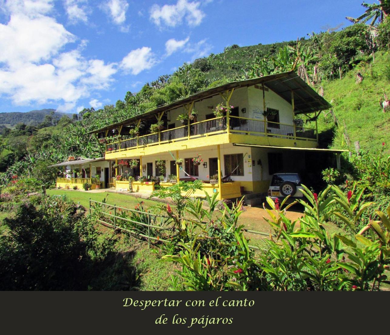 Alojamiento Rural Jardin Consentido エクステリア 写真