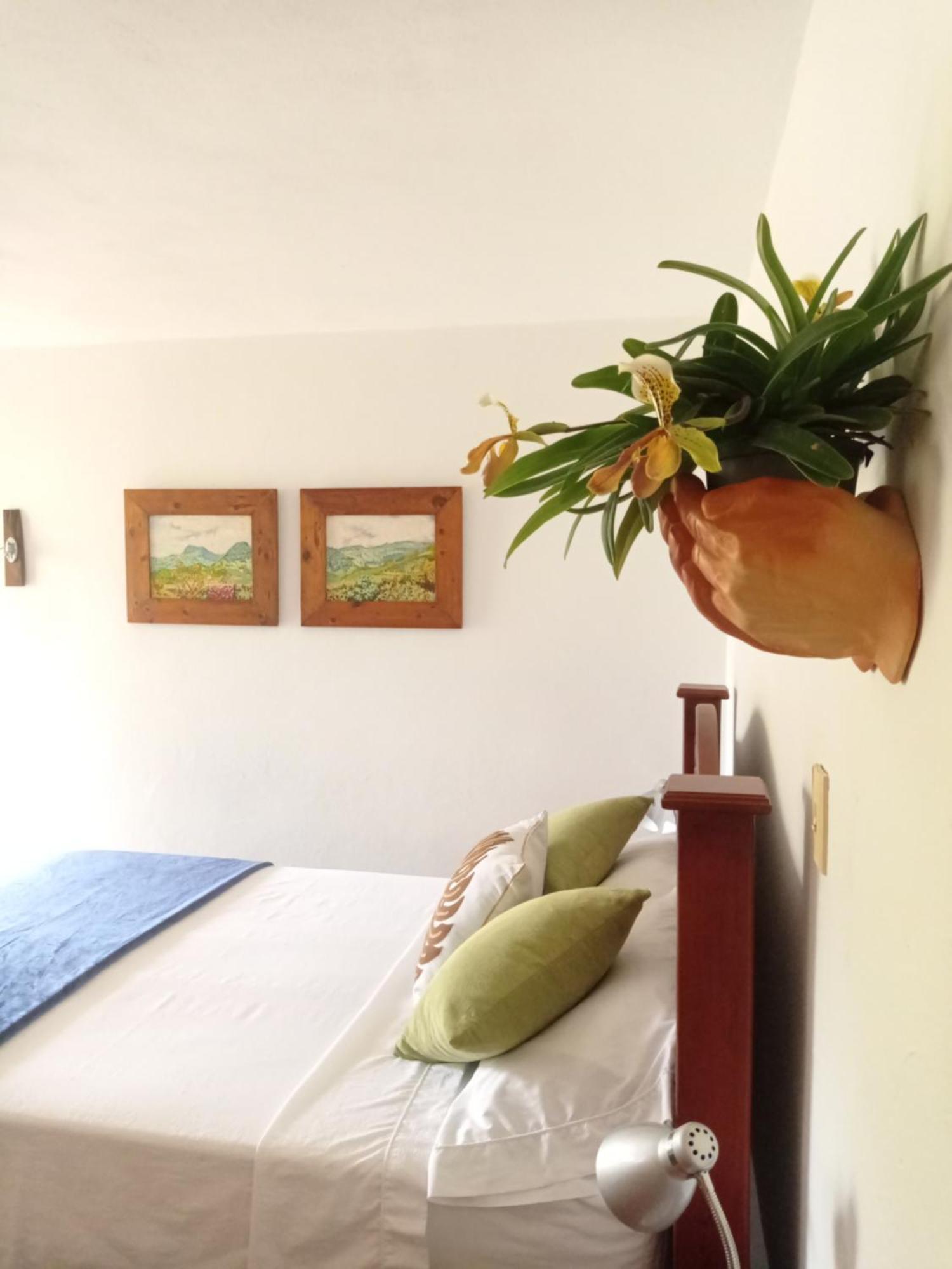 Alojamiento Rural Jardin Consentido 部屋 写真