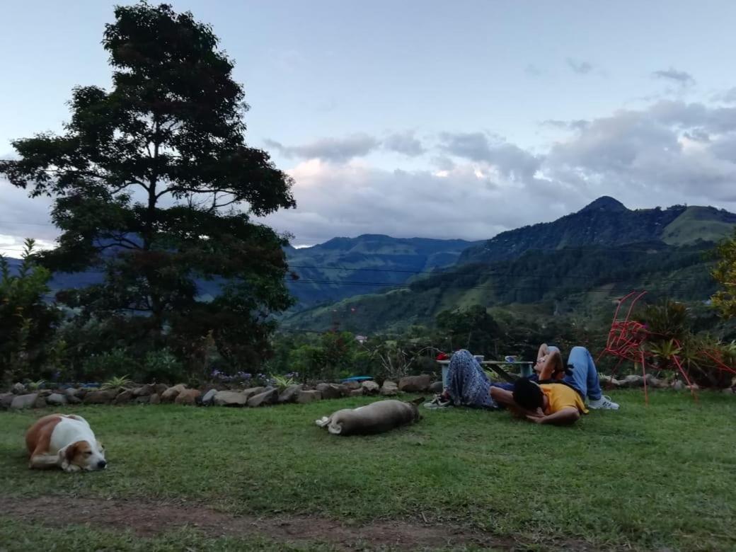Alojamiento Rural Jardin Consentido エクステリア 写真