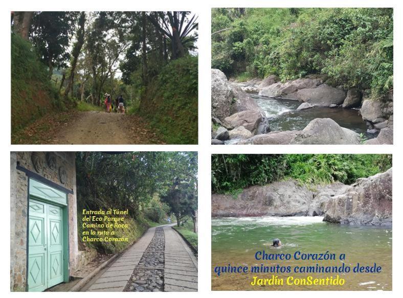 Alojamiento Rural Jardin Consentido エクステリア 写真